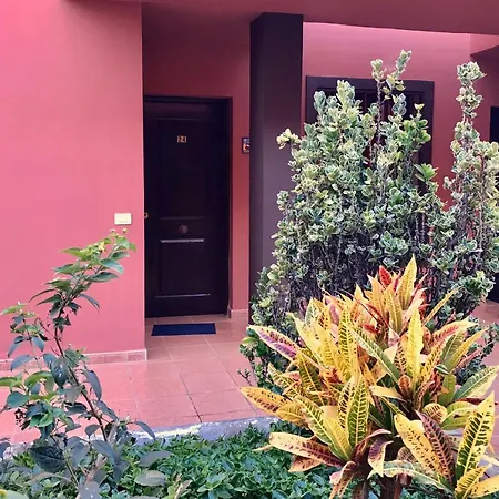 Dreaming The Sun Tenerife Apartment Costa Del Silencio