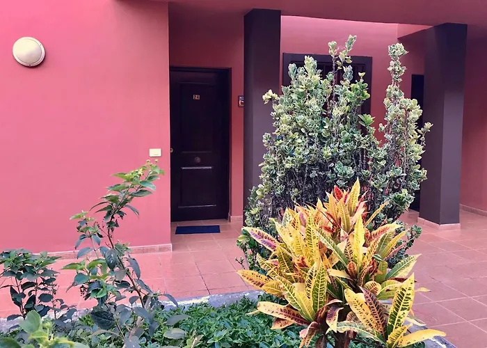 Dreaming The Sun Tenerife Apartment Costa Del Silencio