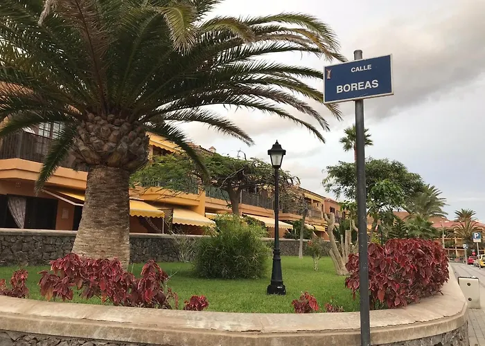 Apartment Dreaming The Sun Tenerife *