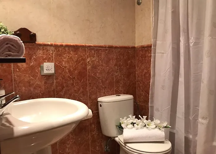 Dreaming The Sun Tenerife *