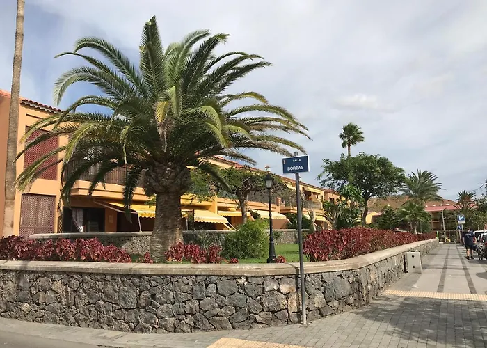 公寓 Dreaming The Sun Tenerife *